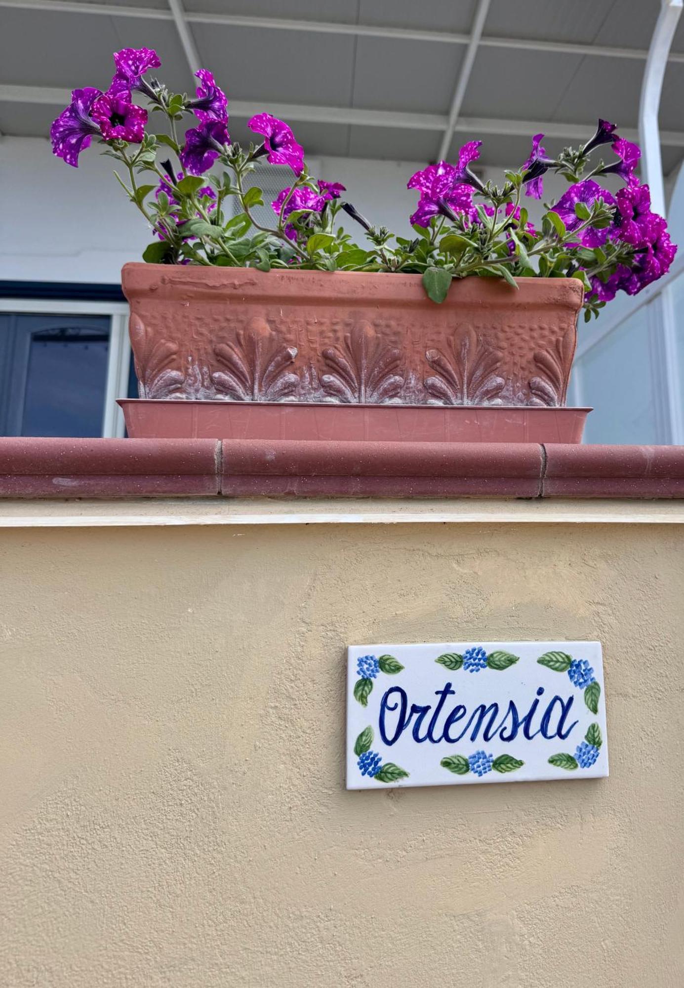 Il Profumo Dei Fiori Apartment Praiano Bagian luar foto